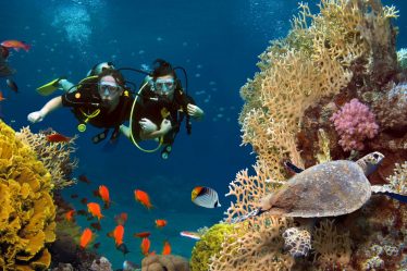 deux personnes en plongée sous-marine