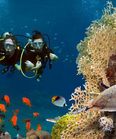 deux personnes en plongée sous-marine